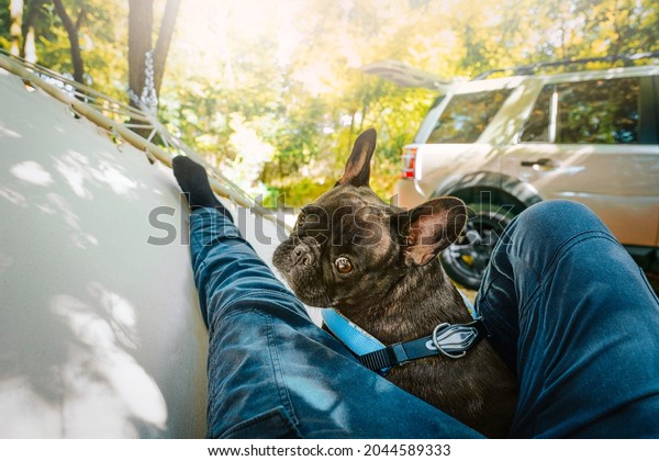 French bulldog and\
owner in hammock in\
forest