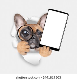 French bulldog puppy looks thru the magnifying lens looks through the hole in white paper and holds big smartphone with white blank screen in it paw. - Powered by Shutterstock