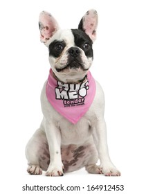 French Bulldog puppy wearing a pink bandana sitting, 6 months old, isolated on white