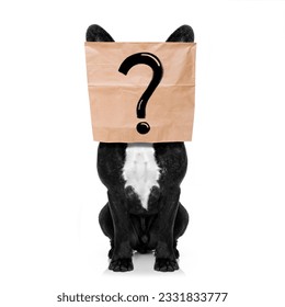 french bulldog   and question mark drawing   hiding behind paper bag his head  isolated white background