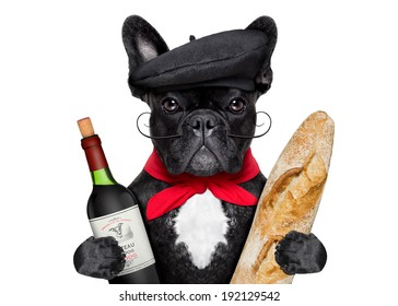 french bulldog with red wine and baguette and french hat