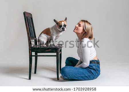 french bulldog sits on a chair and communicates with his mistress a young girl in a white sweater on a white background