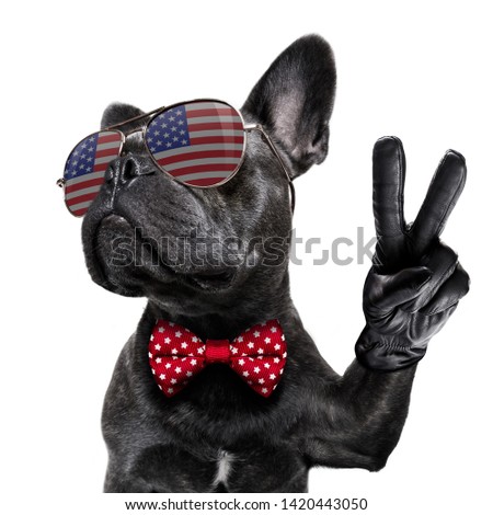 french bulldog waving a flag of usa and victory or peace fingers on independence day 4th of july with sunglasses