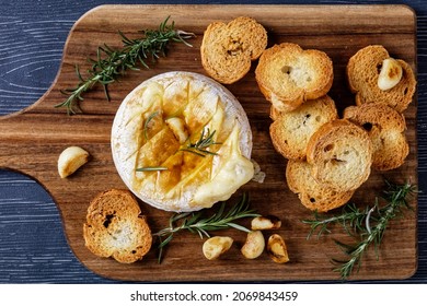 French camembert cheese baked in the oven with rosemary sprigs, garlic cloves, and bay leaves served with croutons on a wooden board on a dark wooden background, top view, close-up