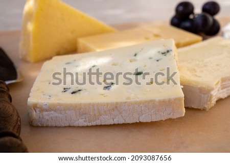 French cheese collection on marble board, emmental, carre de aurillac, petit cantal AOP Jeune, buche chevre and brie [[stock_photo]] © 