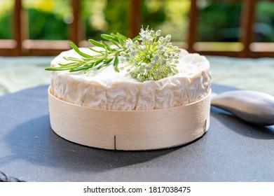 French cheeses collection, piece of matured camembert cow milk cheese with white mold from Normandy - Powered by Shutterstock