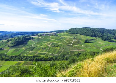 French Countryside Vineyard On A Hill