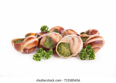 French Dish,bourgogne Escargot