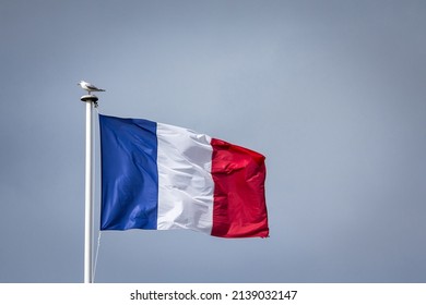 French flag waving in the air on a waterfront with a bird, a seagull, standing on it. The french flag, or drapeau francais, is the national emblem and banner of the republic of France. 

