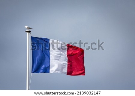 French flag waving in the air on a waterfront with a bird, a seagull, standing on it. The french flag, or drapeau francais, is the national emblem and banner of the republic of France. 

