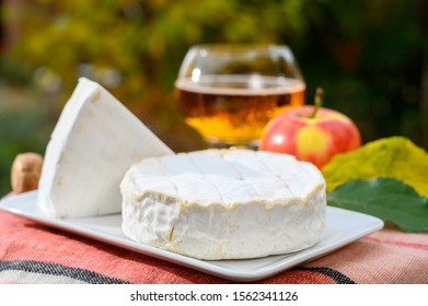 French Food, Soft Cheeses With White Mold Brie And Camembert And Golden Apple Cider In Glass From Bretagne Served Ourdoor In Sunny Autumn Garden