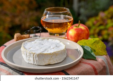 French Food, Soft Cheeses With White Mold Brie And Camembert And Golden Apple Cider In Glass From Bretagne Served Ourdoor In Sunny Autumn Garden