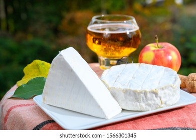 French Food, Soft Cheeses With White Mold Brie And Camembert And Golden Apple Cider In Glass From Bretagne Served Ourdoor In Sunny Autumn Garden