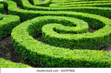  French Formal Garden In The Center Of Paris 