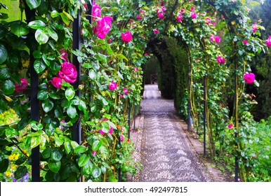  French Formal Garden At Generalife. Granada,  Spain