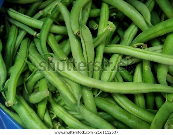 French green beans, French beans or Haricot vert\
are all names for the same Phaseolus vulgaris green bean, but of a\
slightly different type.\
