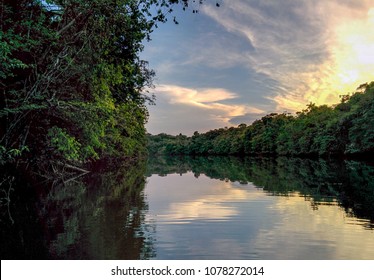 French Guyana Jungle River