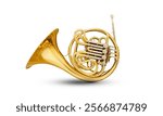 French horn, brass musical instrument, classical symphony orchestra, isolated image on white background

Illustration Formats

