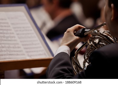  French Horn In The Hands Of A Musician Closeup