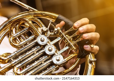 French Horn Instrument, Hands Playing Horn Player In Philharmonic Orchestra