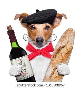 french jack russell  dog  with  red wine baguette and  beret, isolated on white background