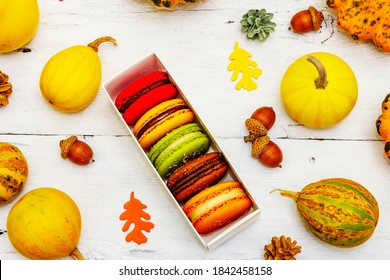 French macarons in autumn colors. Halloween dessert, Thanksgiving menu. Decorative pumpkins, fall leaves and acorns. White wooden boards background, top view