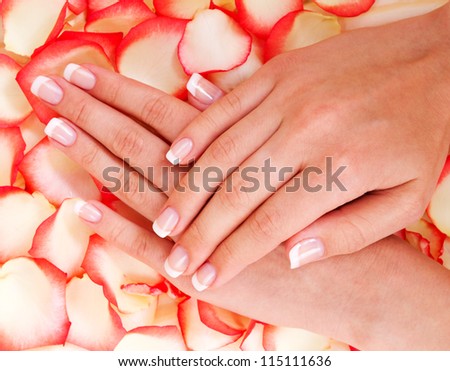 French manicure and red rose
