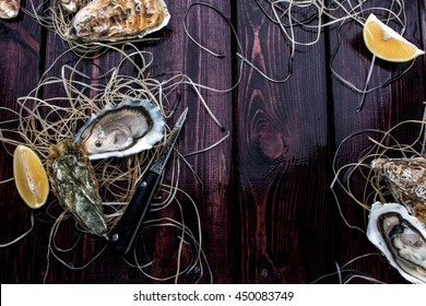 French oysters and lemon on wood background