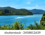 French Pass, Marlborough Sounds, South Island, New Zealand, Oceania.
View from French Pass Lookout. D