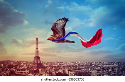 French Proud National Day Eagle Holding Flag