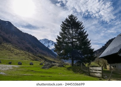 French Pyrenees: road of the Gave de Brousset, Laruns, France