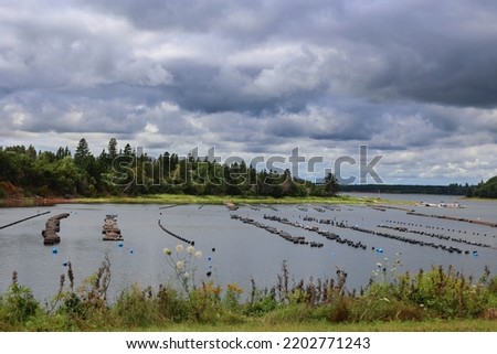 FRENCH RIVER PRINCE EDWARD ISLAND 08 17 2022: Clams farming at French River, an unincorporated area, is located in Queens County in the central portion of Prince Edward Island