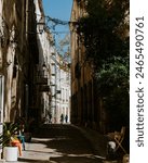 French Street - Montpellier with vegetation