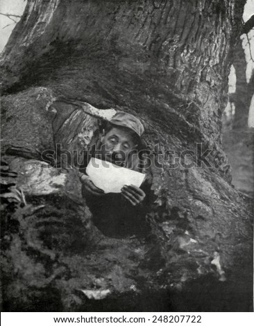 French WW1 soldier in a dugout tree reading a letter. 1916-17. He is near Monastir, on the Macedonia Front.
