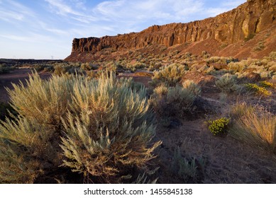 Frenchman Coulee Gorge In Central Washington.