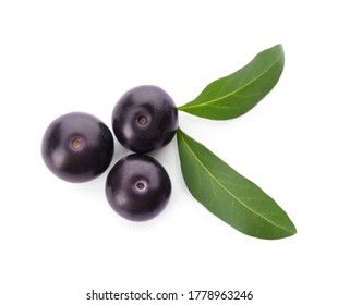 3,094 Acai leaves Images, Stock Photos & Vectors | Shutterstock