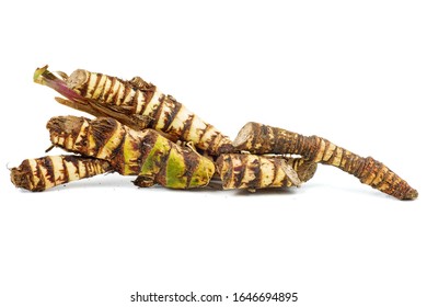 Fresh Acorus calamus (also called sweet flag or calamus) roots isolated on white background