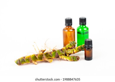 Fresh Acorus calamus roots, also known as sweet flag, and bottles with oil and extract isolated on light background. Calamus root is used in personal care products. Beauty and medicine.