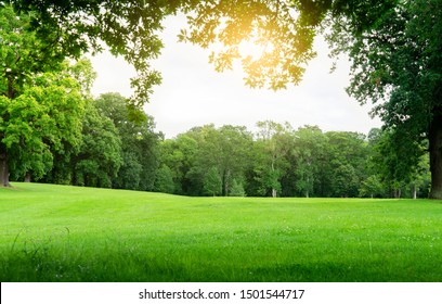 Fresh air and beautiful natural landscape of meadow with green tree  in the sunny day for summer background, Beautiful lanscape of grass field with forest trees and enviroment public park with sun ray