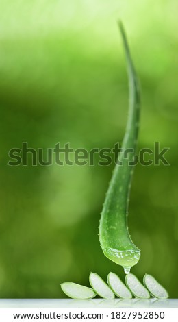 Similar – Image, Stock Photo poppy seed detail Poppy