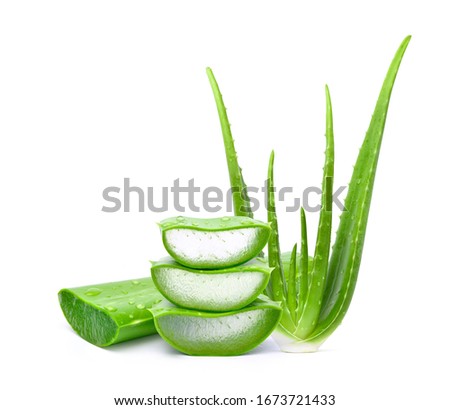 Fresh Aloe vera sliced with plant and water droplets isolated on white background. 