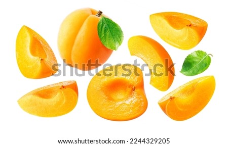 Fresh apricot collection on white background. Set of whole, half apricot and apricot slices with leaf.
