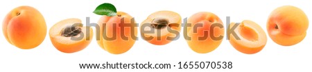 Fresh apricots set isolated on white background. Whole fruit, half pieces with and without pits. Package design element, clipping path, full depth of field. 