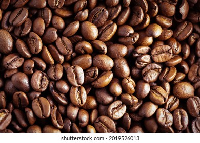 Fresh Arabica Coffee Beans Medium Roasted Flavourful Aroma. Perfect Espresso Beans