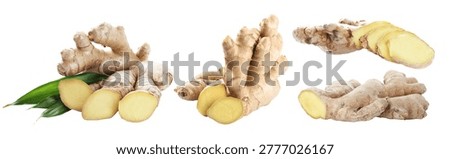 Fresh aromatic ginger on transparent background, set