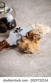 Fresh aromatic whole White Truffle mushroom and its shaver with Black Truffle and Risotto rice over rustic cloth background. Expensive gourmet ingredient. Close Up. Selective Focus. Warm earth tone.