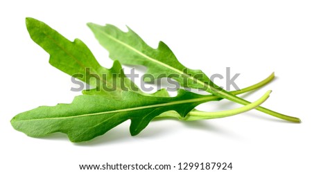 fresh arugula leaves isolated on white background [[stock_photo]] © 