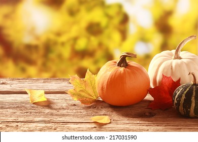 Fresh Assorted Pumpkin And Squash In An Autumn Garden With Colorful Golden Foliage On The Trees Standing On An Old Wooden Table With Red And Yellow Fall Leaves, With Copyspace