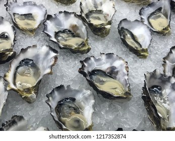 Fresh Australian Oysters On Ice