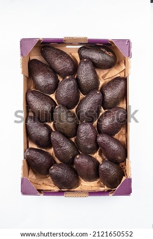 
fresh avocados in export box